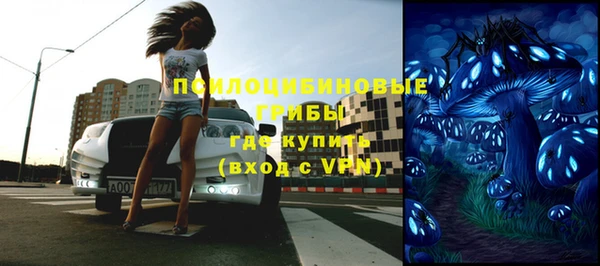 твердый Алексеевка