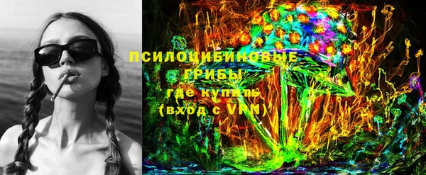 тгк Арсеньев