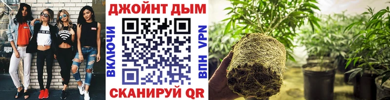kraken рабочий сайт Челябинск Марихуана Bruce Banner